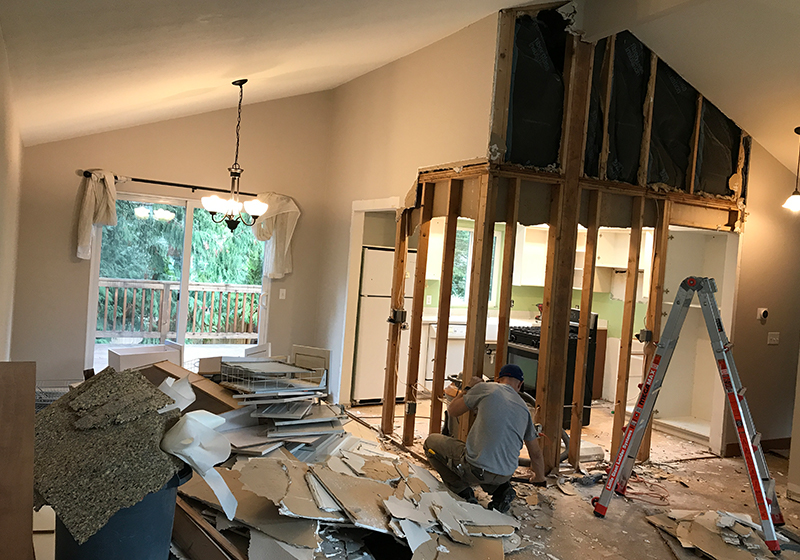 Issaquah Kitchen Demo