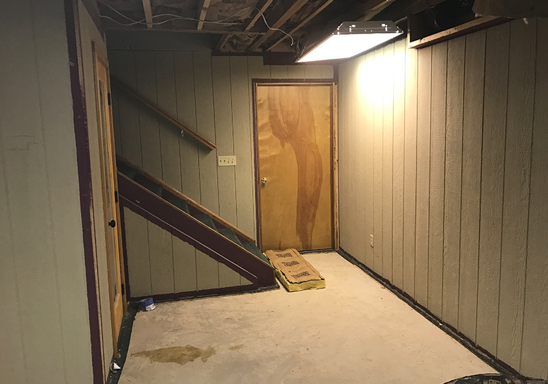 Milton Basement Project - Before